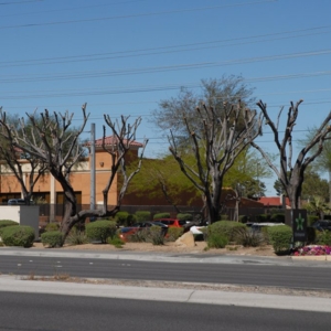 Photo of D&M Landscaping