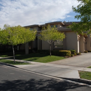 Photo of D&M Landscaping