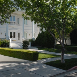 Photo of D&M Landscaping