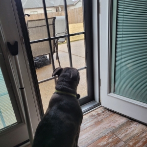 Photo of Maclin Security Doors