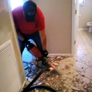 Photo of ALM Services