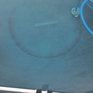 Photo of All Pure Pool Service