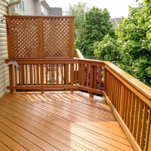 Photo of Absolute Deck