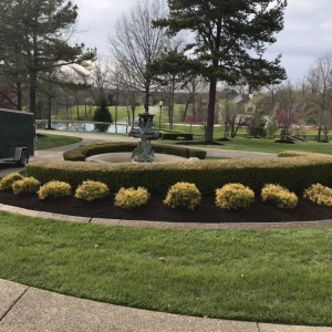 Photo of G3 Lawn Care