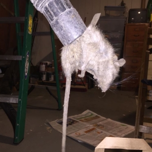 Photo of USA Air Care