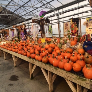 Photo of Bedner's Farm & Greenhouse