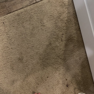 Jacksonville Duval Floor Care