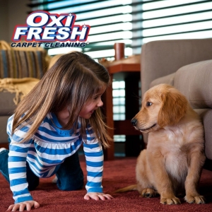 Photo of Oxi Fresh Carpet Cleaning