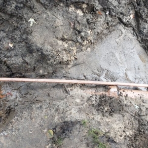 Photo of Elite Excavation Services