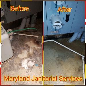 Photo of Maryland Janitorial Services