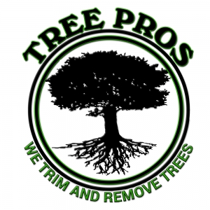 Photo of Tree Pros