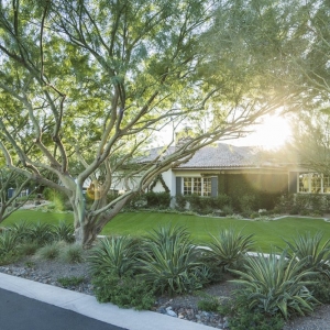 Photo of Tree Pros