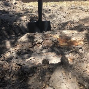 Photo of Christianson Tree Experts
