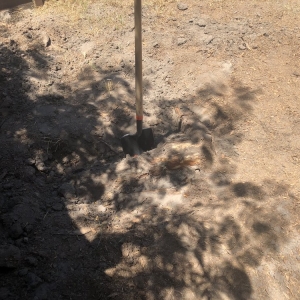Photo of Christianson Tree Experts