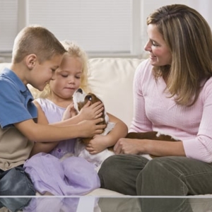 Photo of Affordable Clean Carpet Service