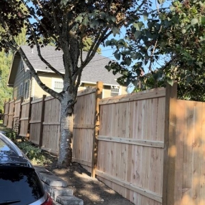 Photo of Lake Hills BC Landscaping