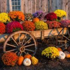 Photo of Garden Designs By R&L