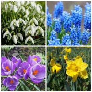 Photo of Garden Designs By R&L