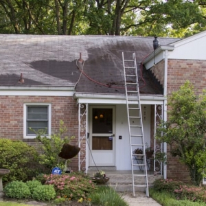 Photo of Exterior Care Service