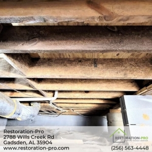 Photo of Restoration-Pro