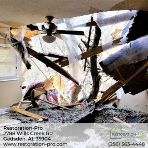 Photo of Restoration-Pro