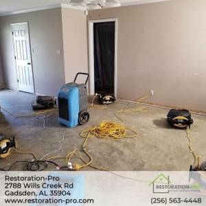 Photo of Restoration-Pro
