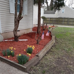 Photo of OV Lawncare & Landscaping
