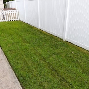 Photo of OV Lawncare & Landscaping