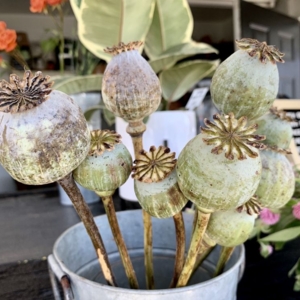 Photo of The Floral Craft