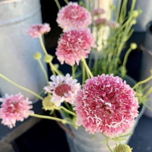 Photo of The Floral Craft