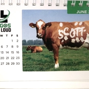 Photo of Logos Out Loud