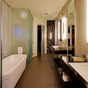 Photo of Rapid Shower & Mirror