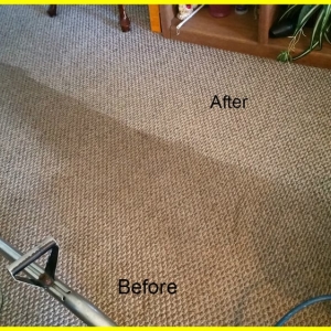 Photo of Uturn Carpet & Upholstery