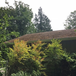 Photo of GEHM Roof & Gutter Cleaning