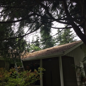 Photo of GEHM Roof & Gutter Cleaning