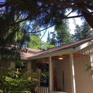 Photo of GEHM Roof & Gutter Cleaning