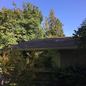 Photo of GEHM Roof & Gutter Cleaning