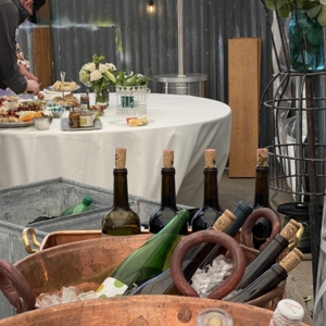 Photo of Theresa Bryan Events