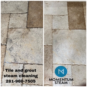 Spring Momentum Steam Cleaning