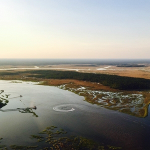 Photo of Fly Charleston