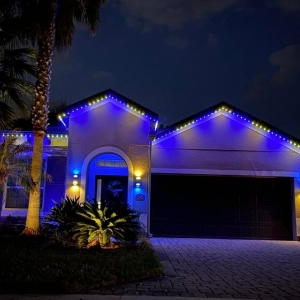 Photo of Trimlight Phoenix