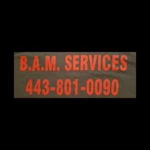 Photo of B A M Services