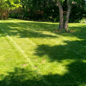 Photo of SK Lawn Care