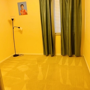 Photo of TriStar Carpet Cleaning
