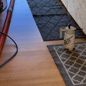 Photo of TriStar Carpet Cleaning