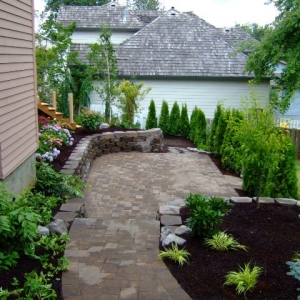 Photo of The Phoenix Garden Project