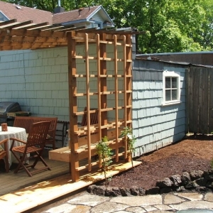 Photo of The Phoenix Garden Project