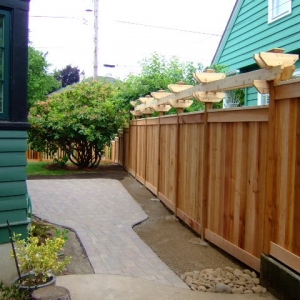 Photo of The Phoenix Garden Project