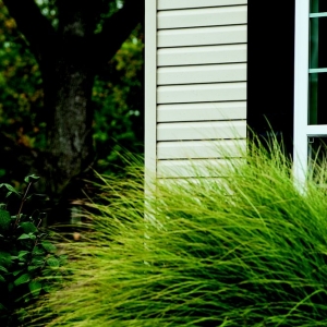 Photo of Feldco Windows, Siding & Doors