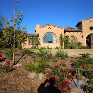 Photo of Arcadian Landscape - San Diego Landscape & Design